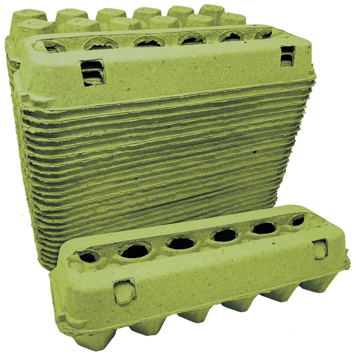 Vented Paper Pulp Egg Cartons – Holds 12 Eggs (Green)