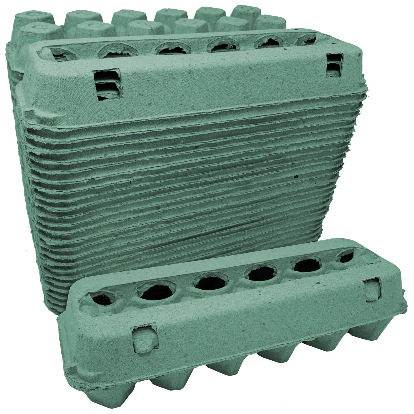 Vented Paper Pulp Egg Cartons - Teal