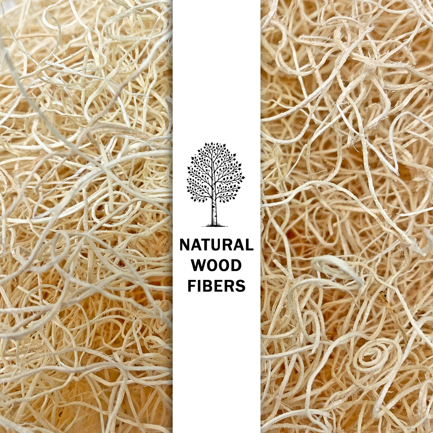 Excelsior Bedding (2 LB)