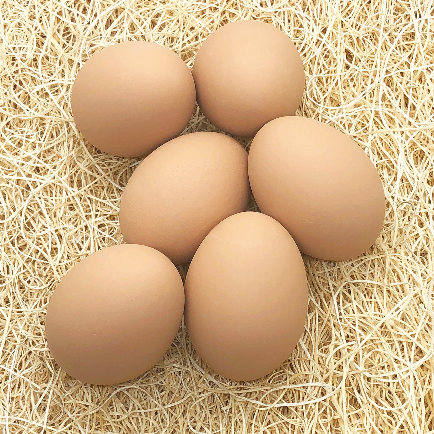 Ceramic Nest Eggs - Brown (6 Pack)