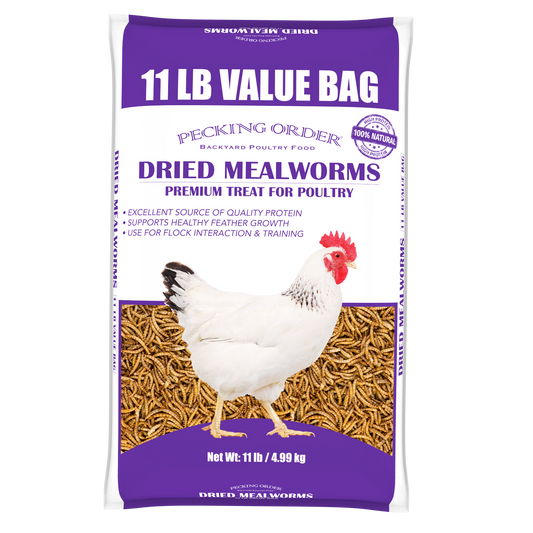 Dried Mealworms - Value Bag (11 LB)