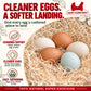 Excelsior Nesting Pads - 5 Pack