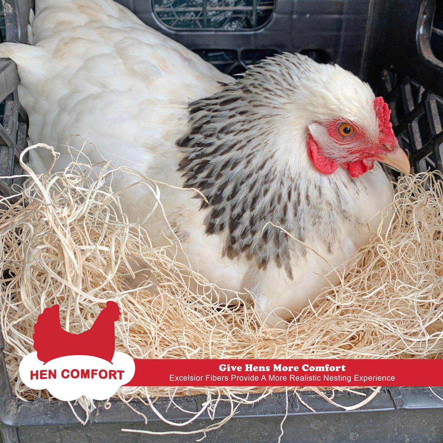 Comfort Nests with Peppermint