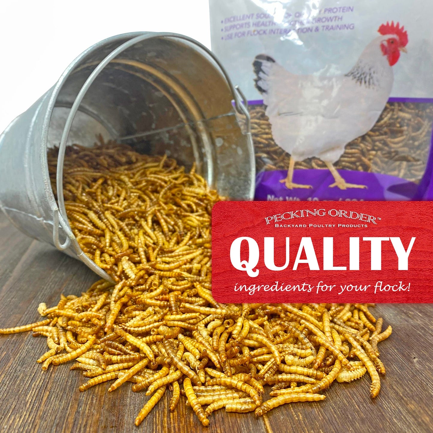 Dried Mealworms - 10oz